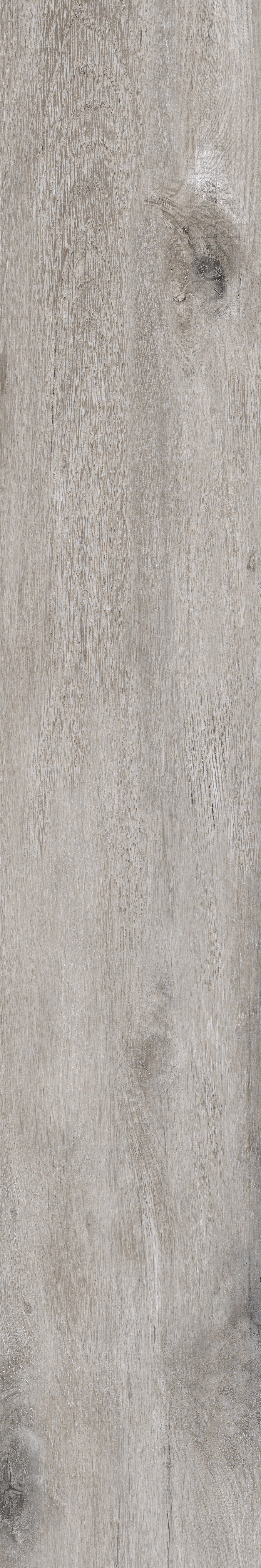 Grigio67